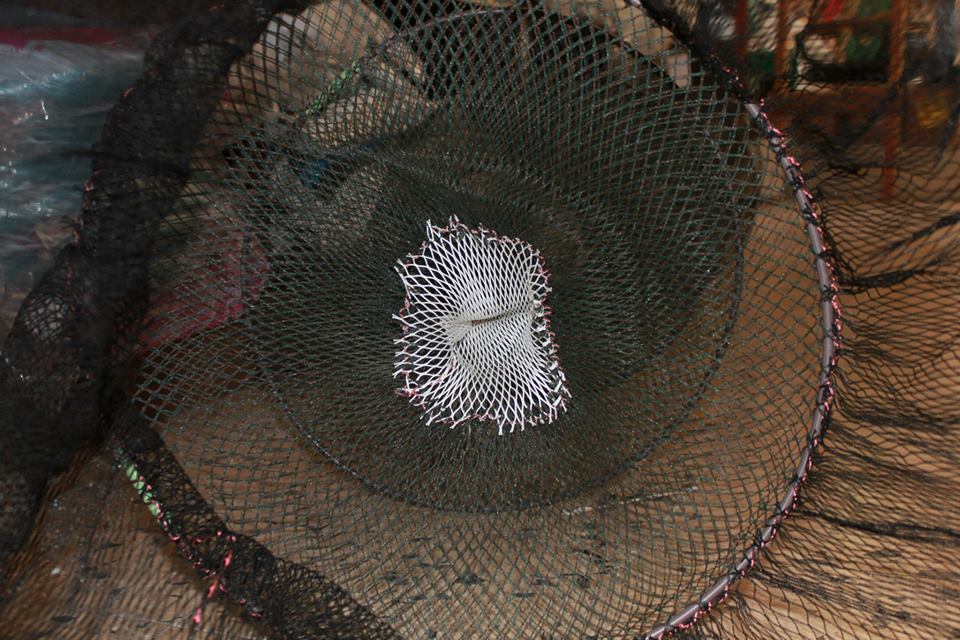 Bertavello pesca per le anguille rete
