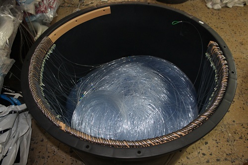 golfo aranci palamito pesce spada e tonno